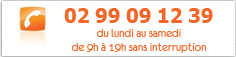 Téléphone Wakanga