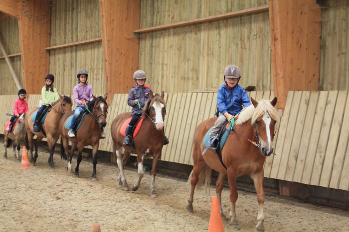 Apprentissage de l'équitation