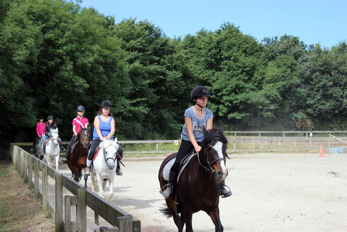 Equitation en manège