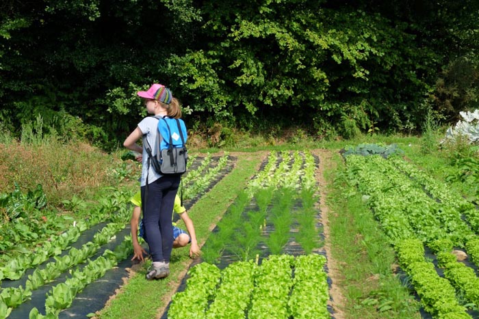 Visite chez un maraîcher qui livre la colo en produits bio en Normandie