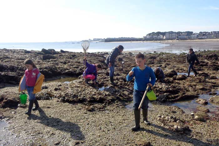 Recherche de petites bêtes dans les rochers