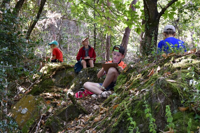 En pleine forêt ! 