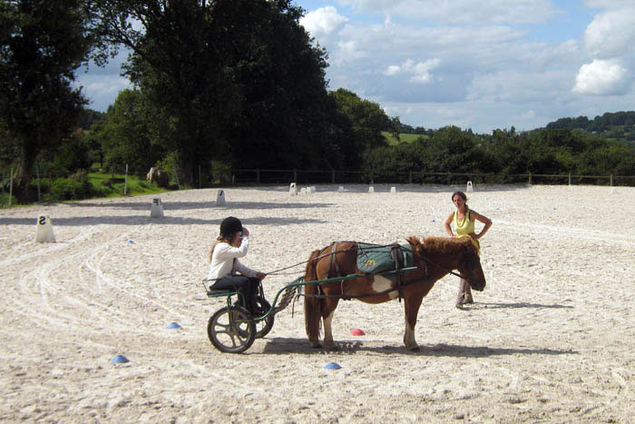 Enseignement de l'équitation dans un séjour sportif