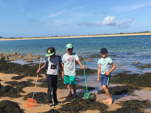 Pêche à pieds sur une plage dans le Morbihan
