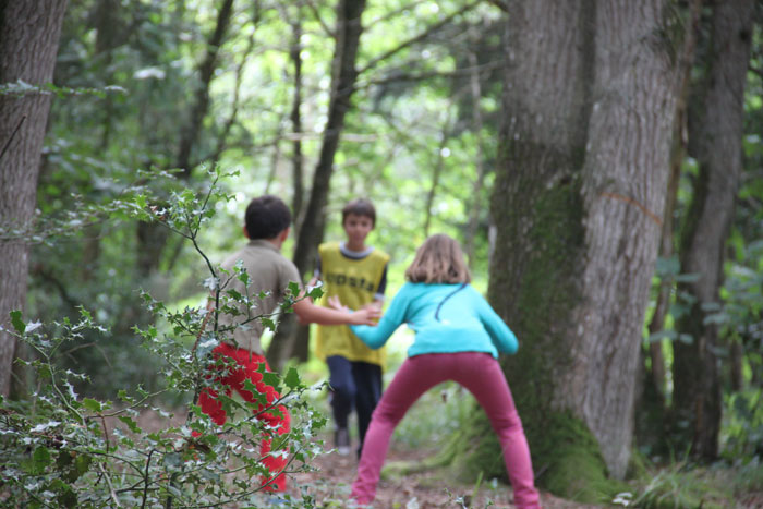 Jeux en forêt