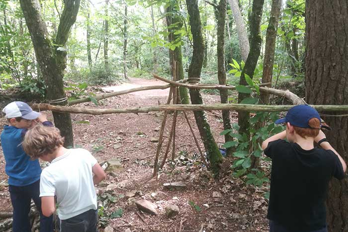 Construction d'une cabane en bois vert