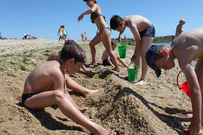 Construction de châteaux de sable sur la plage