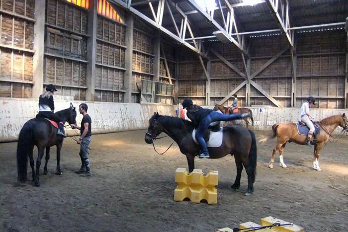 Exercices dans le manège