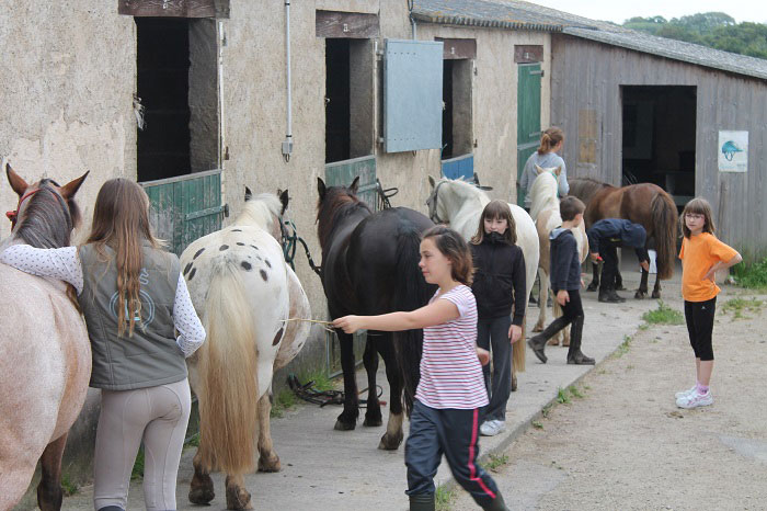 Découverte de l'équitation