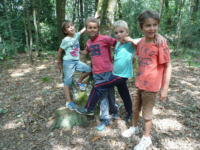 Enfants dans la forêt