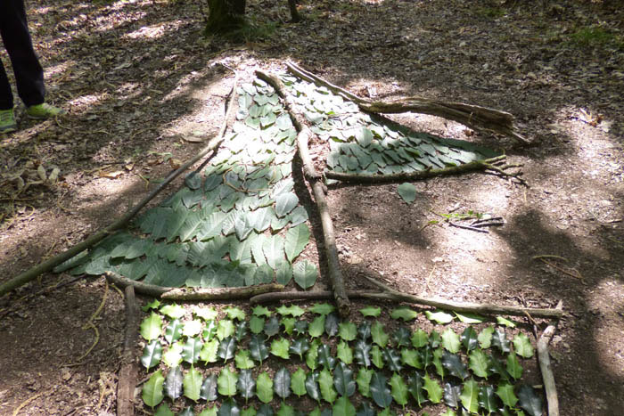 Land art en forêt