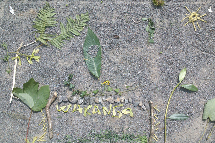 Une réalisation en land art