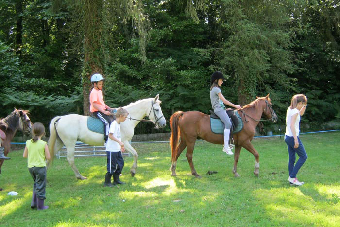 Apprentissage de l'équitation dans un manège