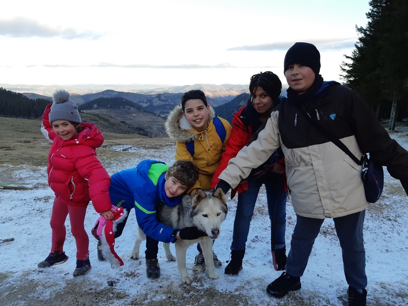 Février 2023 : une colonie de vacances à la montagne avec des chiens de traîneaux