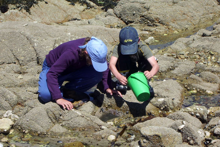 Pêche à pied en colo