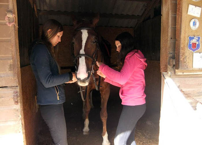 Avec les chevaux avant une sortie